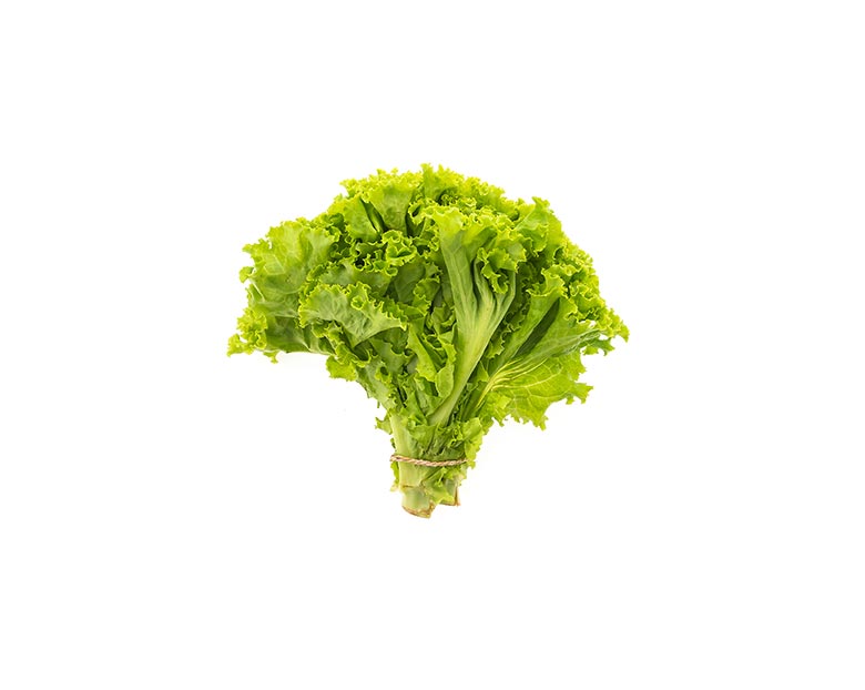 Lettuce 500g